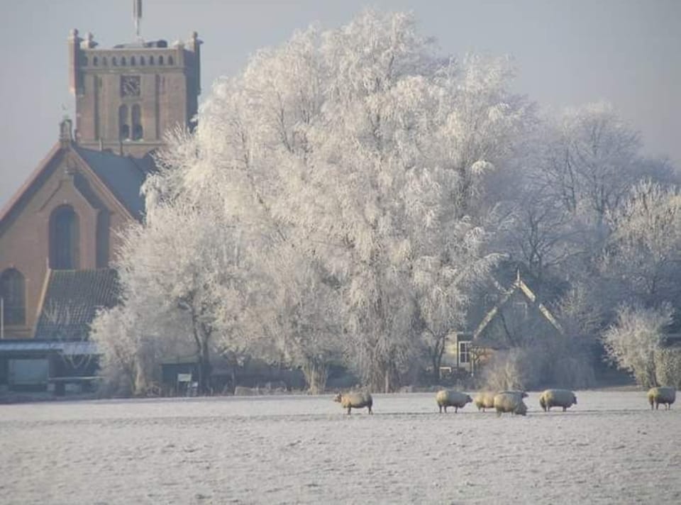 Live op Kerstsfeer Aartswoud